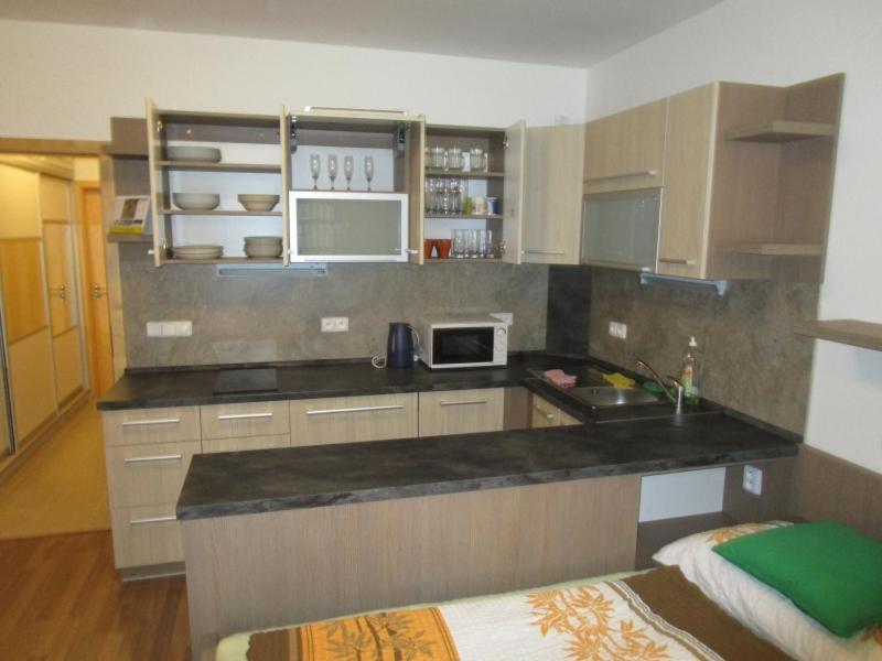 Apartmán Říčky v Orlických Horách Wüstenei Esterno foto